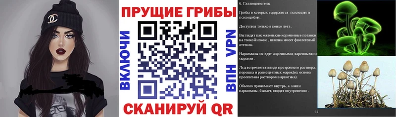 Купить где  Ефремов  Галлюциногенные грибы прущие грибы 